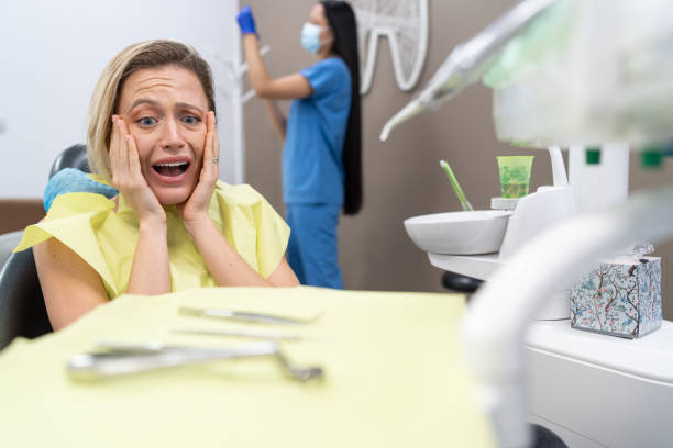 Best Orthodontic Emergency Dentist in Laingsburg, MI