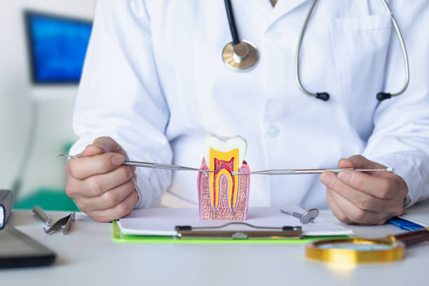 Best Pediatric Emergency Dentist in Laingsburg, MI